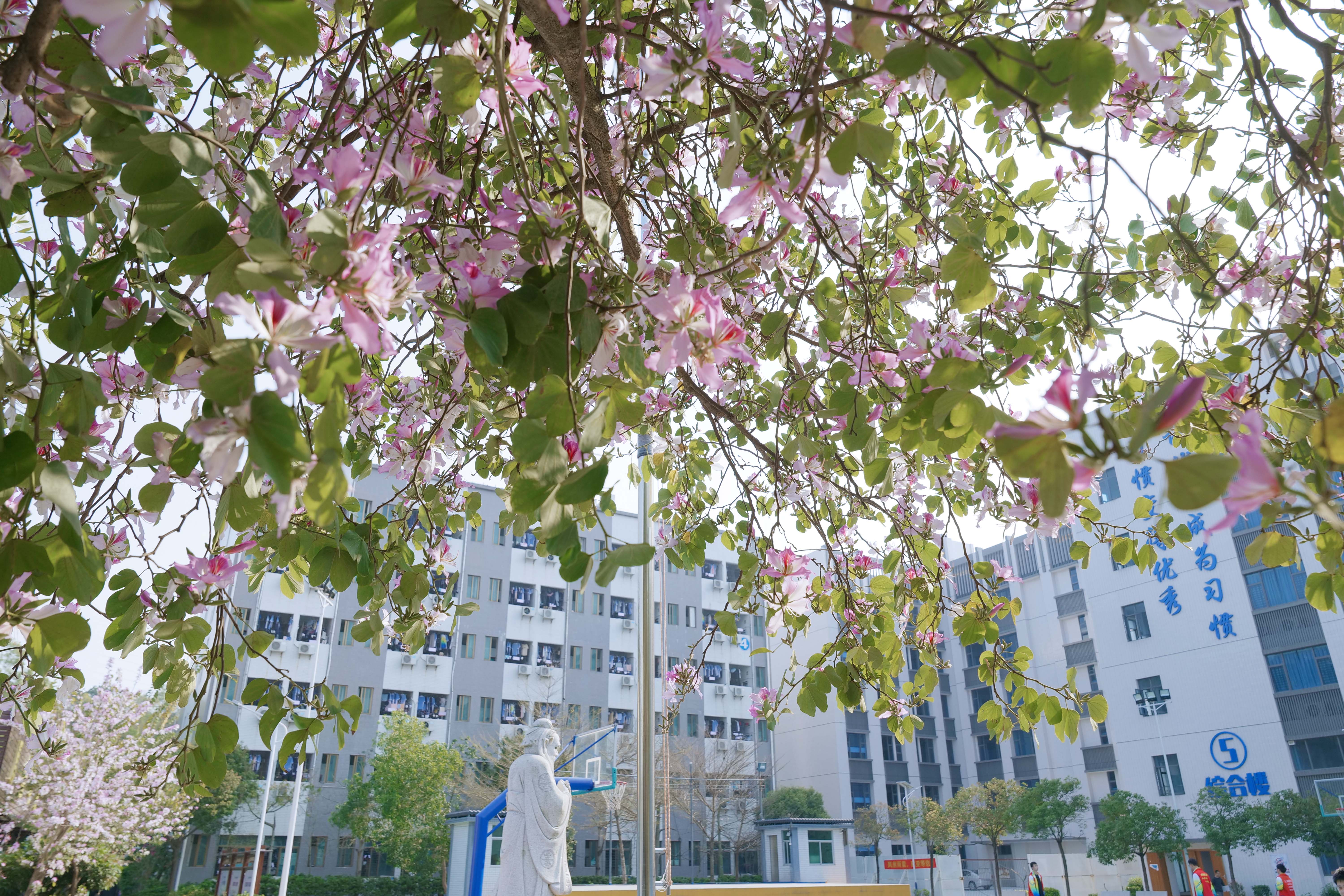 花園式校園綠道